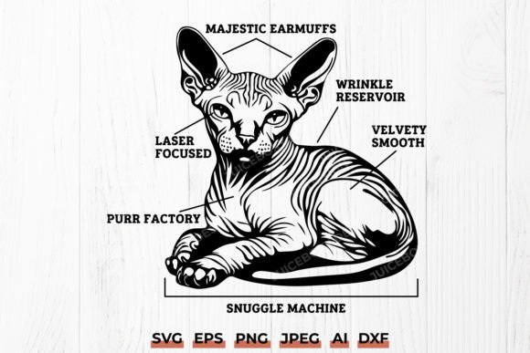 Sphynx Cat Anatomy SVG Funny Sphynx